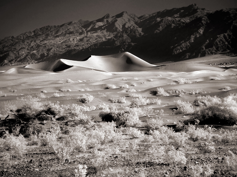 Death Valley Dunes Death Valley, CA � Dave Hickey